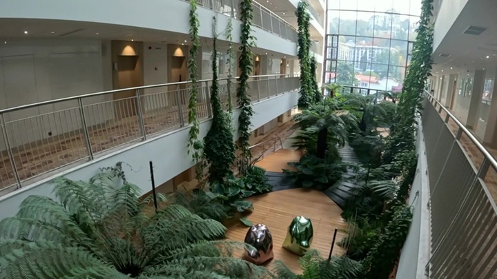 Новый санаторий в Сочи: традиционное лечение на базе современных технологий — Новости на Вести.ru