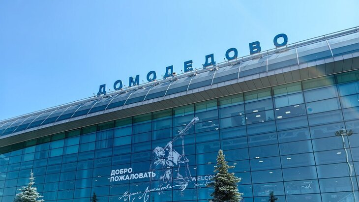 Аукцион по приватизации аэропорта Домодедово пройдет в начале 2026 года