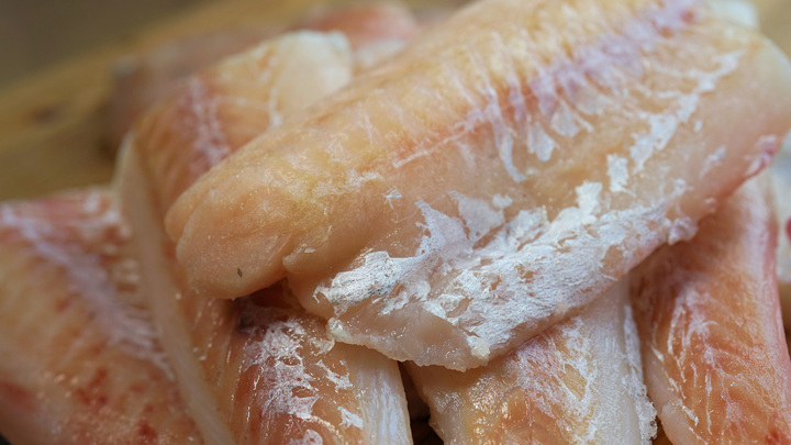 Euractiv: ЕС в 2024 году закупил российской рыбы более чем на 709 млн евро — Новости на Вести.ru