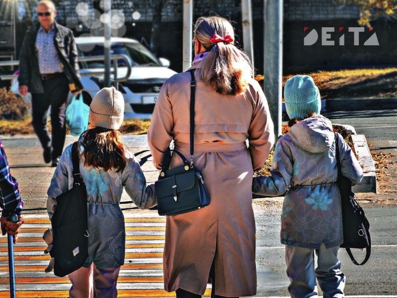 Ввести прогрессивную шкалу маткапитала предложили в Госдуме